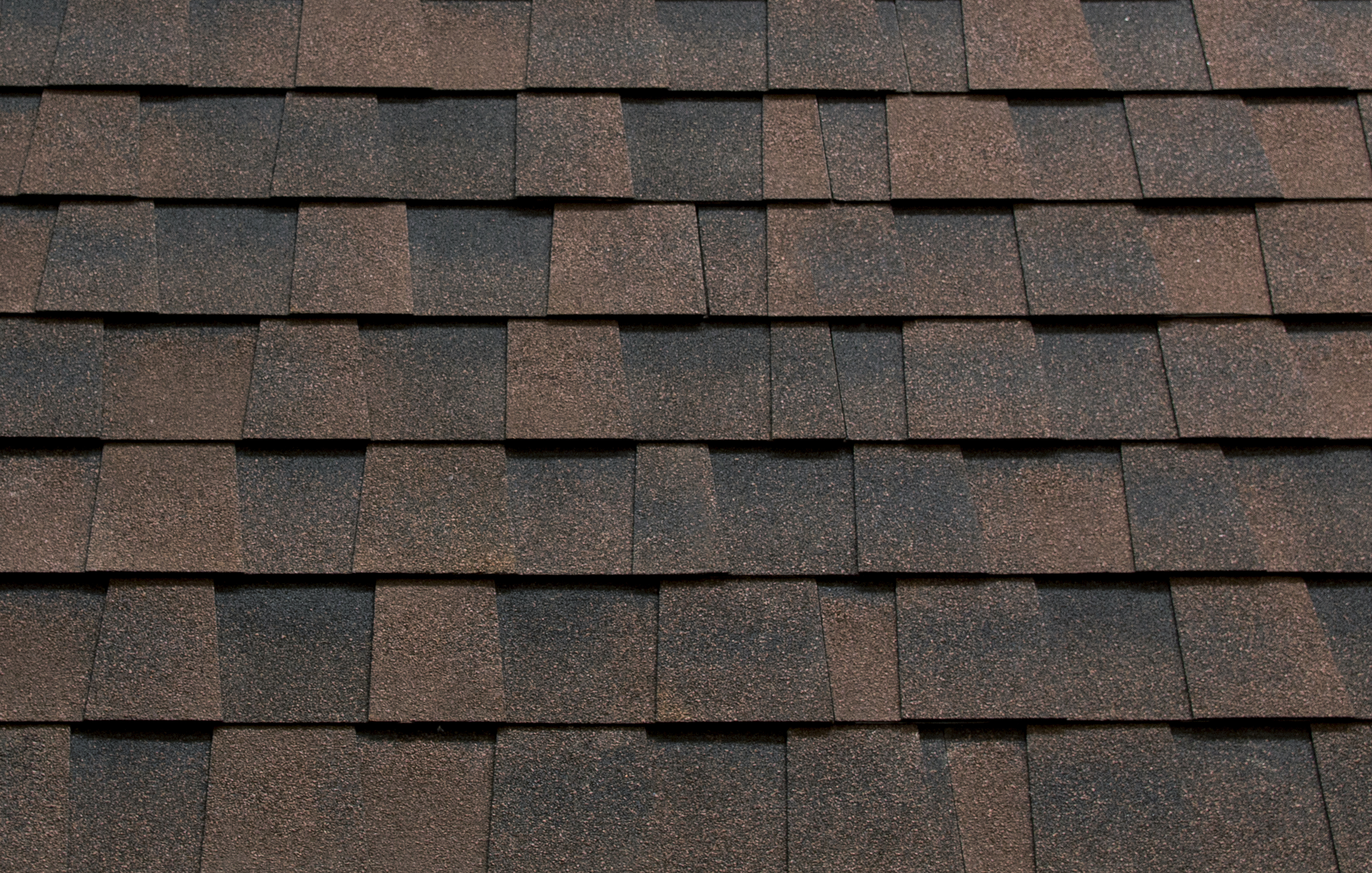 Katepal Mansion Bran 