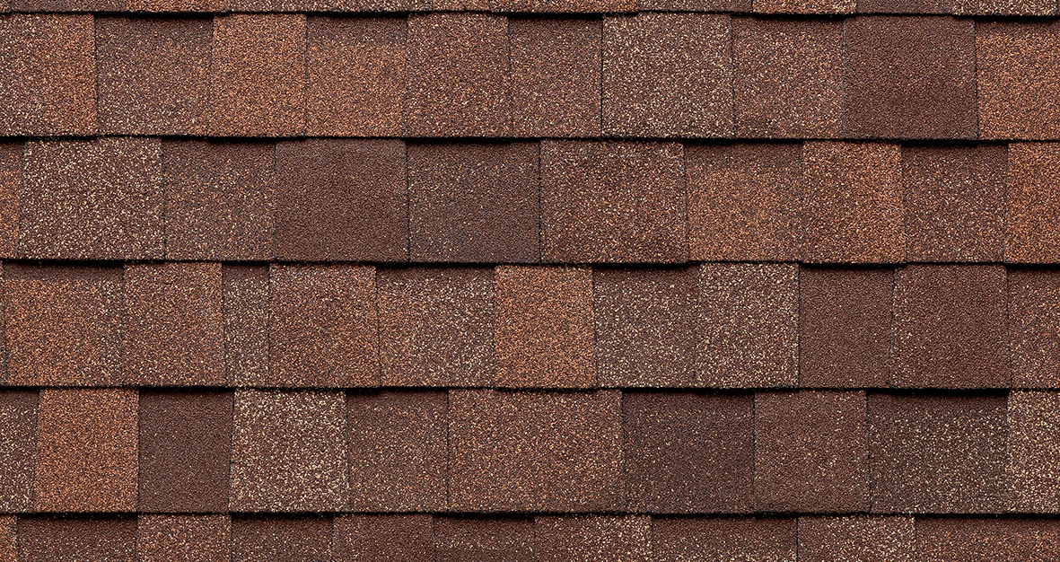 Мастер Коричневый каштан